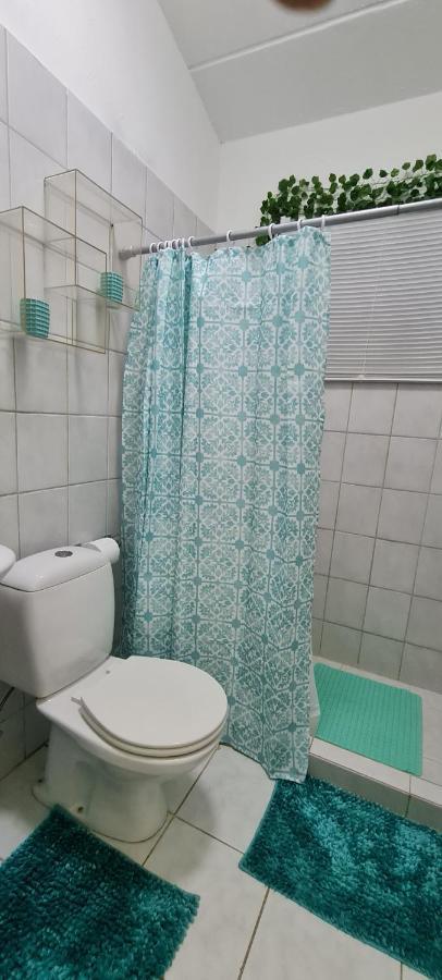 Family Villa With Big Pool And Absolute Privacy 威廉斯塔德 外观 照片