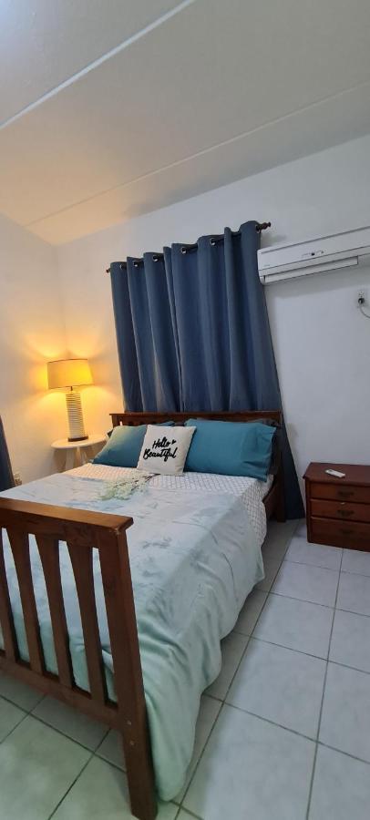 Family Villa With Big Pool And Absolute Privacy 威廉斯塔德 外观 照片